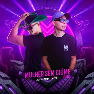 Mulher sem Ciume (Funk) (VITT Remix)