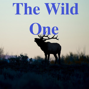 The Wild One