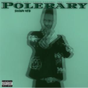 Polerary Mixtape (Explicit)