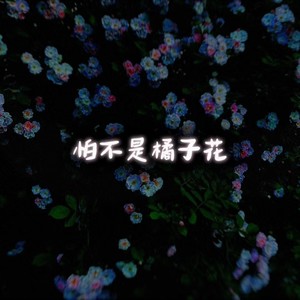 怕不是橘子花