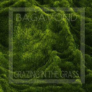 Grazing In The Grass (Explicit)