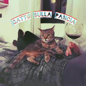 Gatto sulla pancia (Explicit)