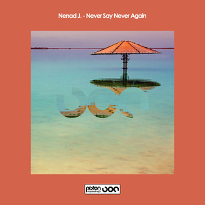 Never Say Never Again (Original Mix)