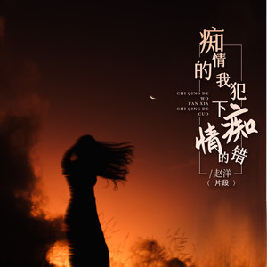 痴情的我犯下痴情的错 (DJ名龙版片段)