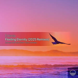 Fleeting Eternity (Inner Voice Remix)