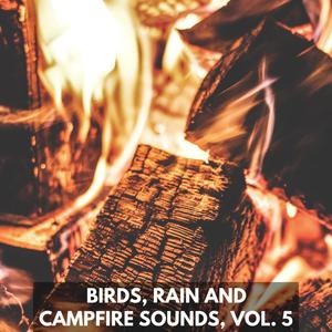 Birds, Rain and Campfire Sounds, Vol. 5