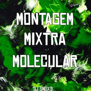 Montagem Mixtra Molecular (Slowed) (Explicit)