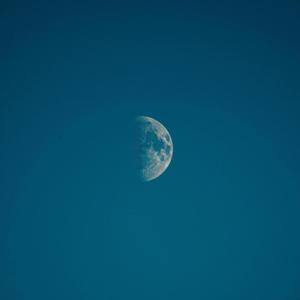 Moonlight