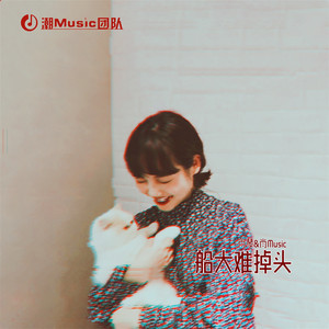 船大难掉头