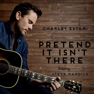 Pretend It Isn't There (feat. Steve Mandile)