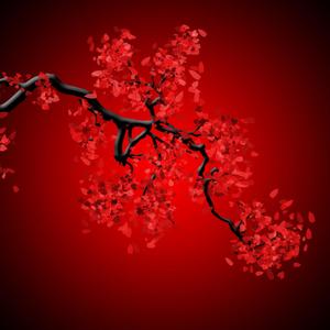 Molly Girl (Remix|Explicit)