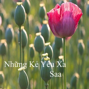 Những Kẻ Yêu Xa