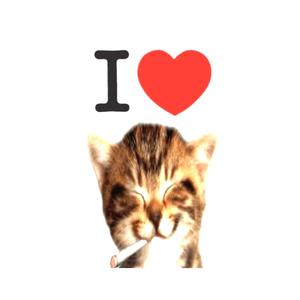 i <3 pussy i <3 cake (Explicit)