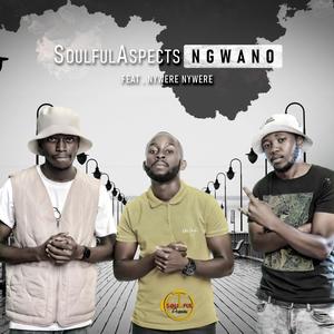 Ngwano (feat. Nywere Nywere)