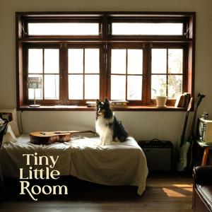 Tiny Little Room