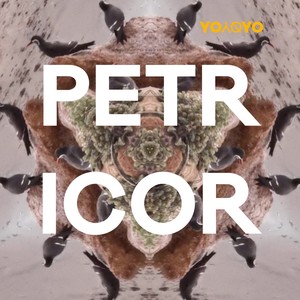 Petricor