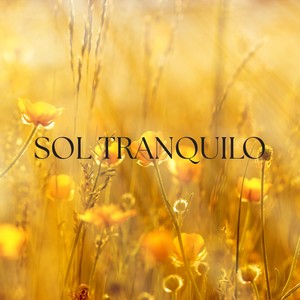 Sol Tranquilo