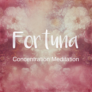 Concentration Meditation