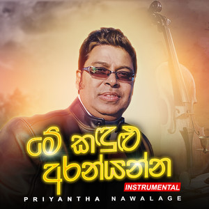 Me Kadulu Aran Yanna Instrumental