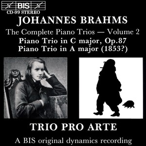 Piano Trio in A Major, Op. posth. - IV. Presto