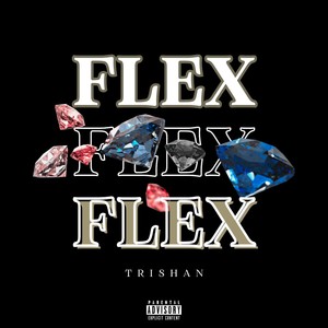 Flex (Explicit)