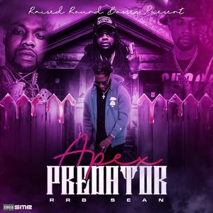 Recklezz (feat. Big play)