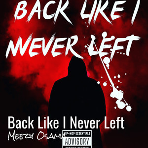 Back Like I Never Left (Explicit)