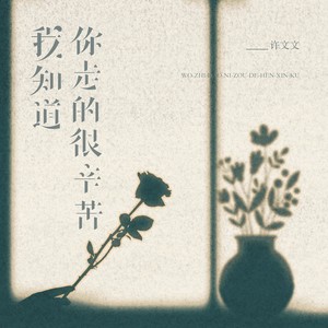 我知道你走的很辛苦