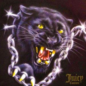 JUICY COUTURE (Explicit)