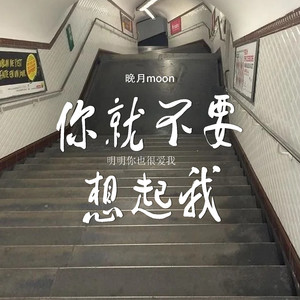 你就不要想起我 (明明你也很爱我)