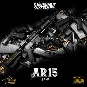 AR15(feat. Llama) (Explicit)