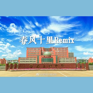 春风十里Remix