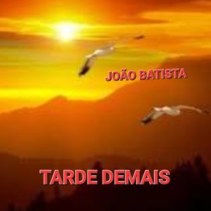 TARDE DEMAIS