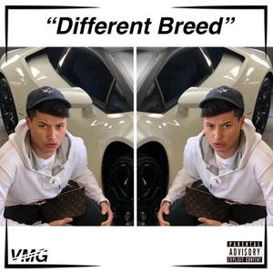 Different Breed (Explicit)