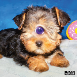 mmm na' morao ese toto (<3|Explicit)