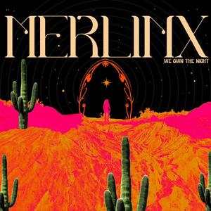 We Own The Night (feat. Tevão) (Radio Edit)