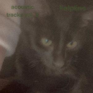 acoustic tracks vol. 2