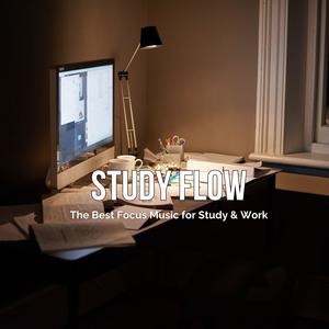 Study Flow (The Best Focus Music for Study & Work)