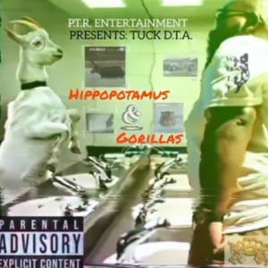 CHASING THE CHICKEN (feat. Free Mirzy) (Explicit)