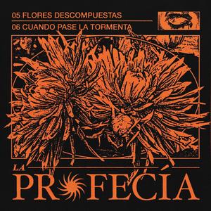 Flores Descompuestas