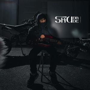 Vinyl vibe.WAV (Explicit)