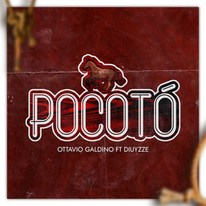 Pocotó