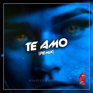 Te Amo - Remix