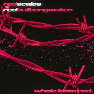 Whole Lotta Red (feat. redscales) (Explicit)