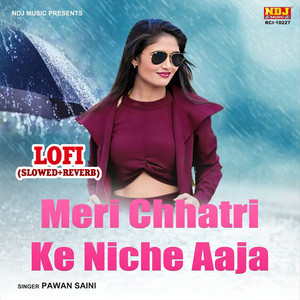 Meri Chhatri Ke Niche Aaja LOFI (Slowed+Reverb)