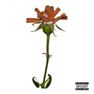 Plott (Explicit)