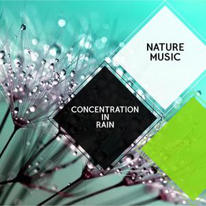 Concentration in Rain - Nature Music