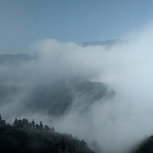 Vanishing
