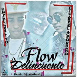 Flow de Delincuente (feat. Papi Luche) (Explicit)