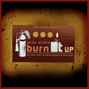 Burn It Up (feat. Paul Wall, Kirko Bangz & Papa Reu) [Explicit]